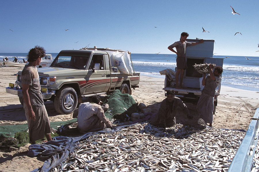 Oman fishing village